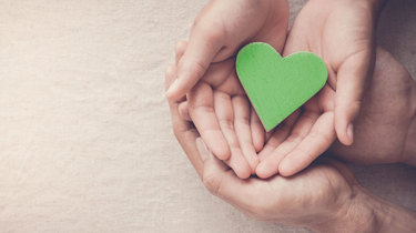 Hænder holder et grønt hjerte.
