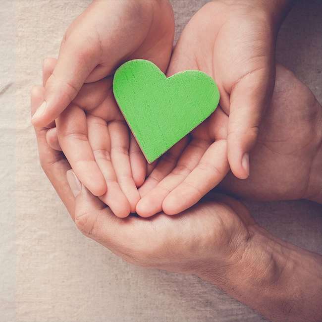 Hænder holder et grønt hjerte.